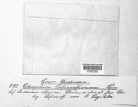 Image Associated With the Occurrence